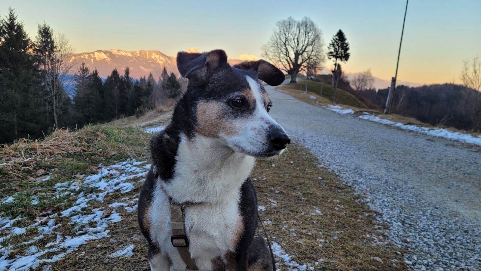 Bria_Romina Markič  