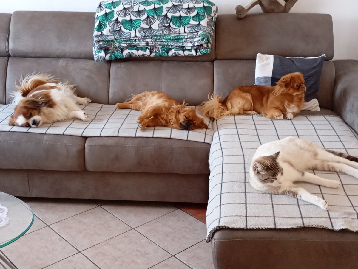 Maxi, Ruby, Igy in maček Miloš_pirnat_boštjan
