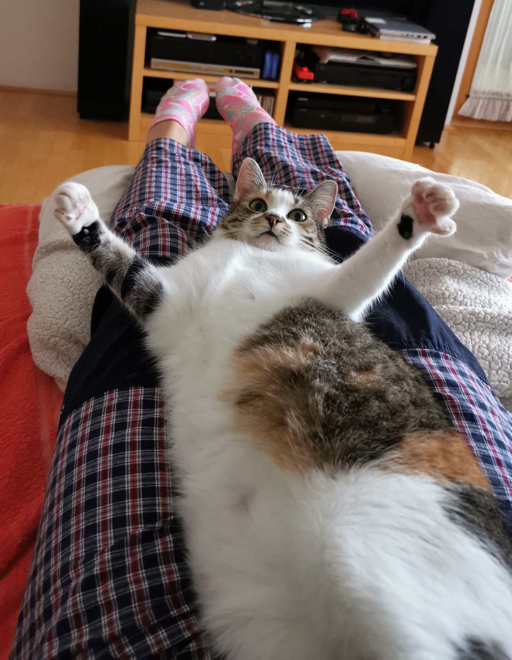 Polonca_Neža Uršič