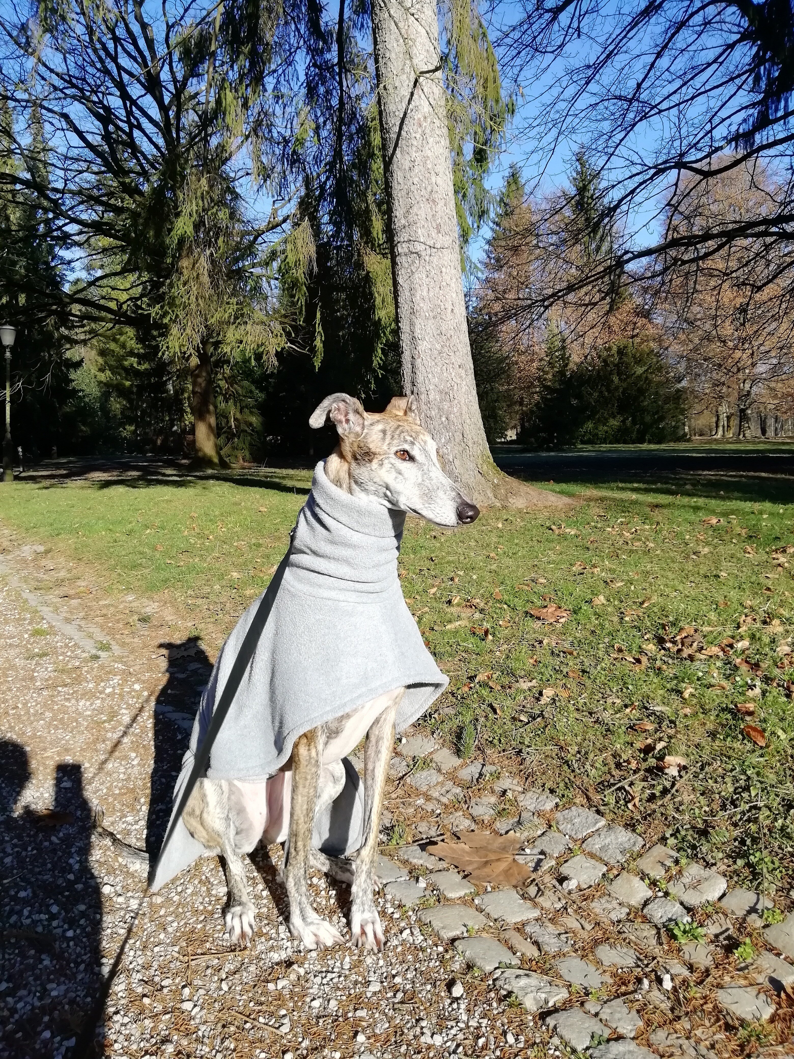 Sofia_Sonja Kelšin