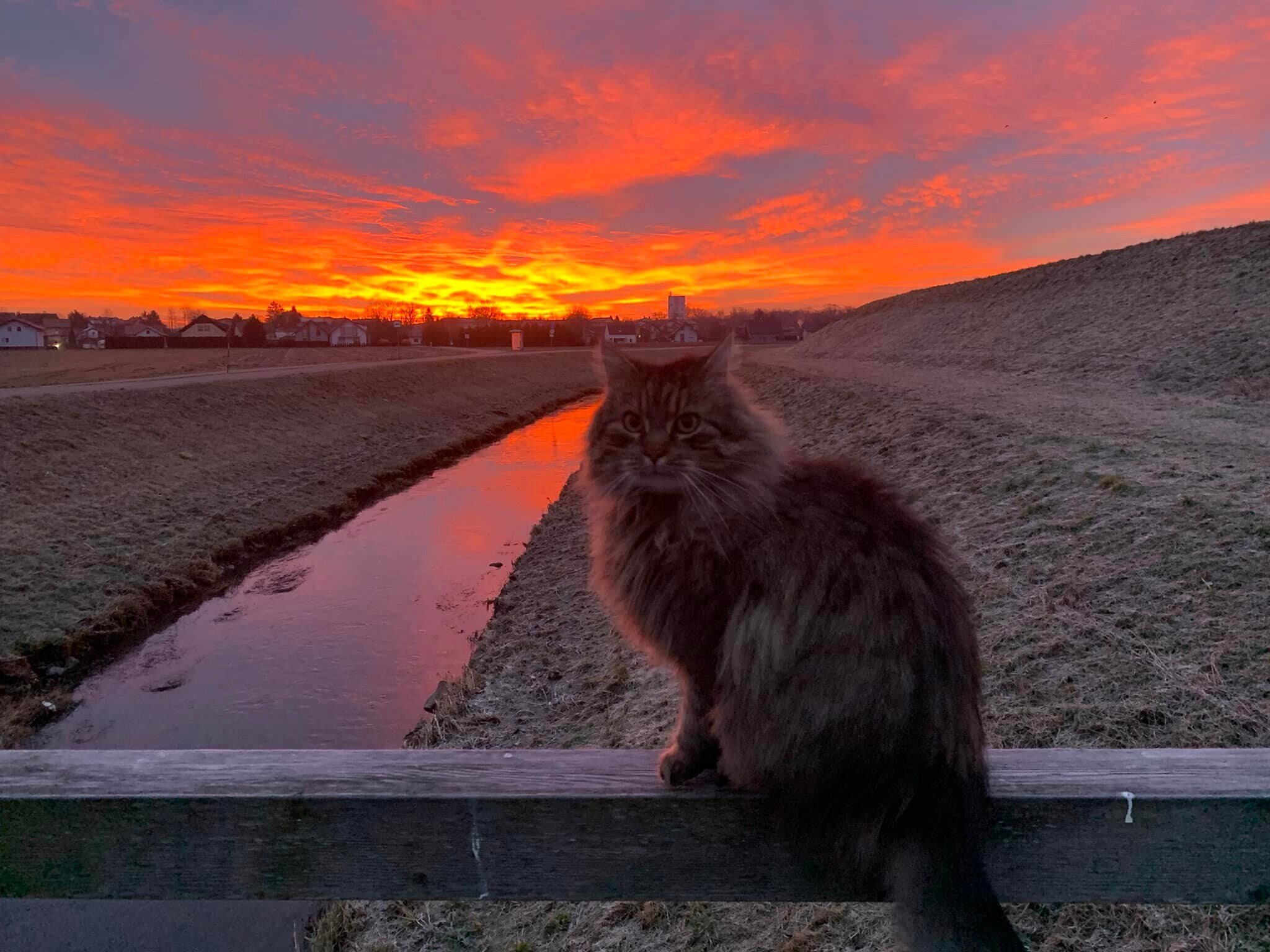 micka_Sonja ERLAČ